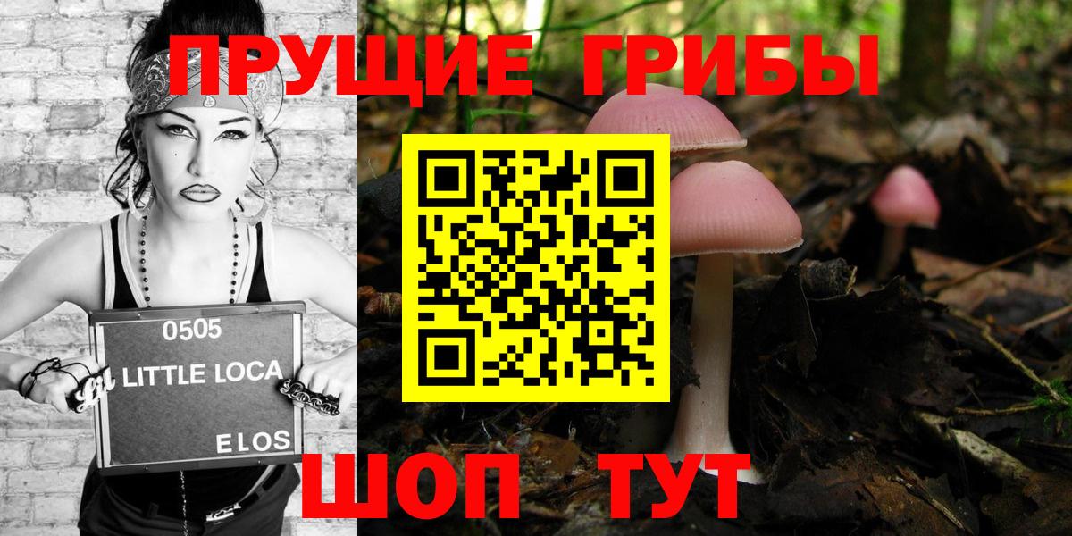 Псилоцибиновые грибы Psilocybe  Вход с VPN  Псилоцибиновые грибы прущие грибы  цена   Похвистнево 