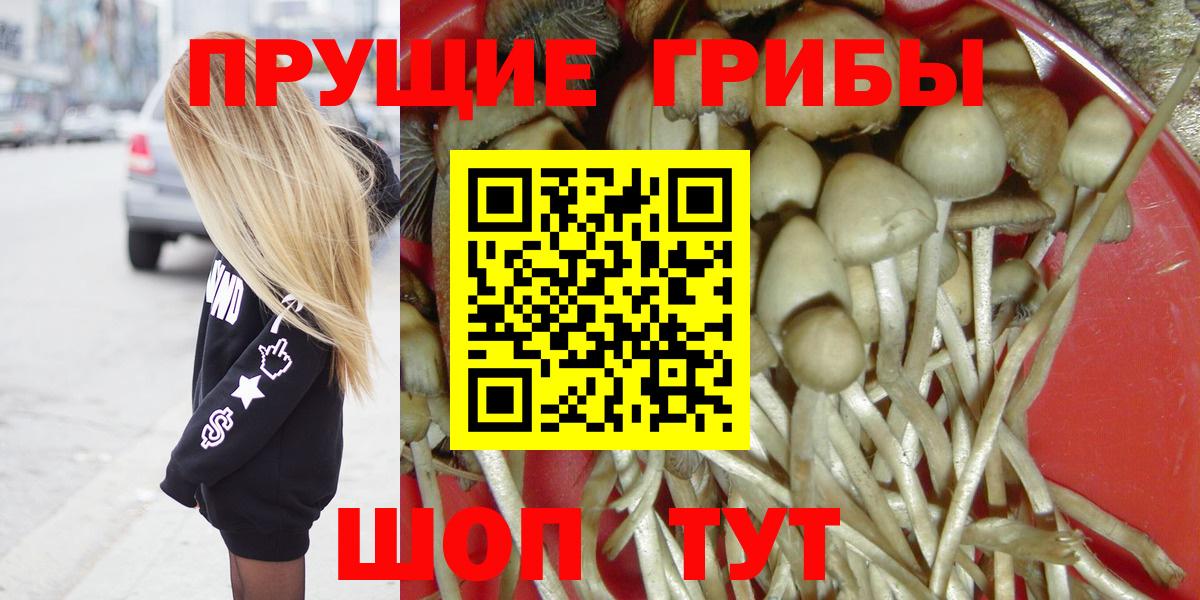 Галлюциногенные грибы мицелий Похвистнево
